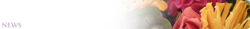 [coquetbRPbg] NEWS