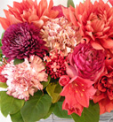 arrangement[08]