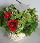 arrangement[19]
