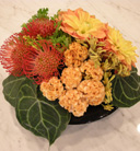 arrangement[25]