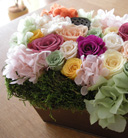 preserved flowers[08]