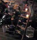 display[01]