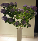 display[02]