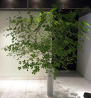 display[03]