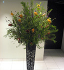 display[05]